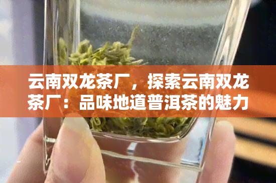 云南双龙茶厂，探索云南双龙茶厂：品味地道普洱茶的魅力