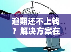 逾期还不上钱？解决方案在此！