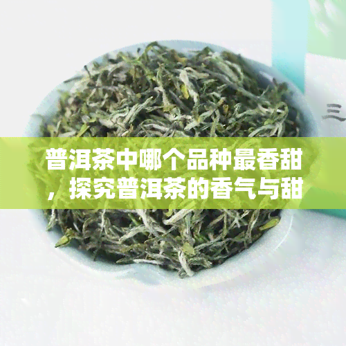 普洱茶中哪个品种最香甜，探究普洱茶的香气与甜度：哪种品种更胜一筹？