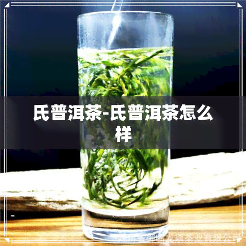 氏普洱茶-氏普洱茶怎么样