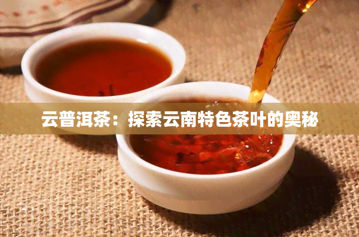 云普洱茶：探索云南特色茶叶的奥秘