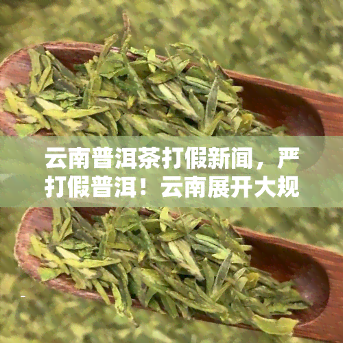 云南普洱茶打假新闻，严打假普洱！云南展开大规模茶叶打假行动