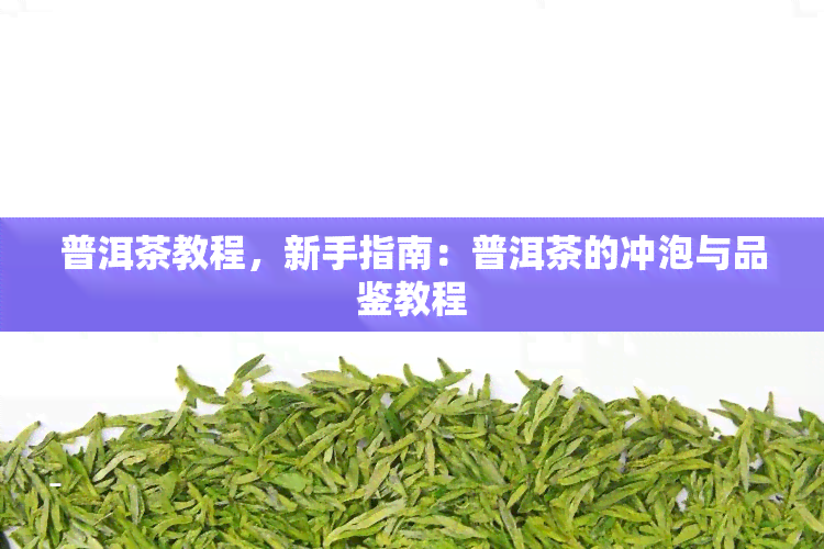 普洱茶教程，新手指南：普洱茶的冲泡与品鉴教程