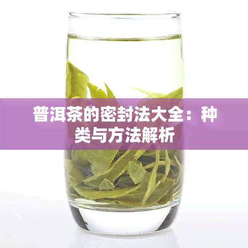 普洱茶的密封法大全：种类与方法解析