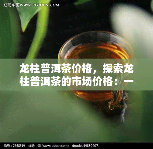 龙柱普洱茶价格，探索龙柱普洱茶的市场价格：一份详尽的指南