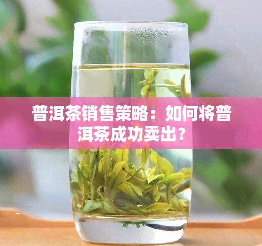 普洱茶销售策略：如何将普洱茶成功卖出？