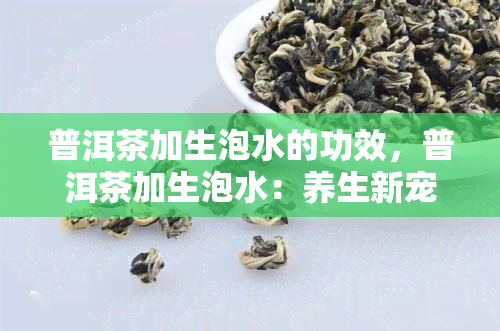 普洱茶加生泡水的功效，普洱茶加生泡水：养生新宠，功效解析