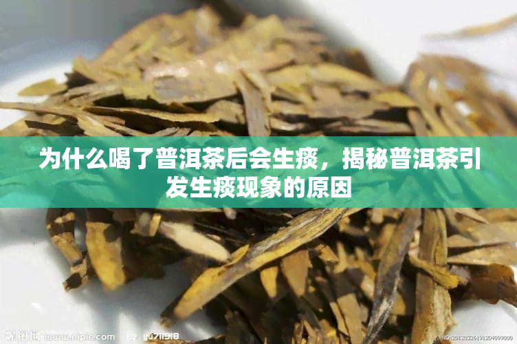 为什么喝了普洱茶后会生痰，揭秘普洱茶引发生痰现象的原因