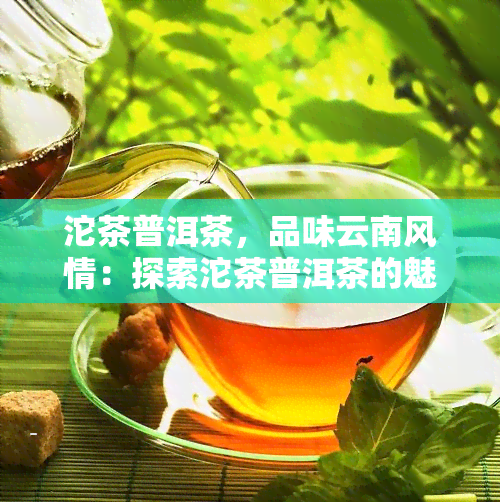 沱茶普洱茶，品味云南风情：探索沱茶普洱茶的魅力