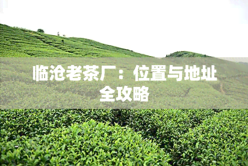 临沧老茶厂：位置与地址全攻略