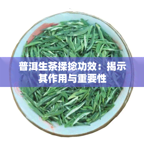 普洱生茶揉捻功效：揭示其作用与重要性