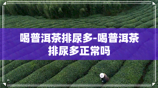 喝普洱茶排尿多-喝普洱茶排尿多正常吗