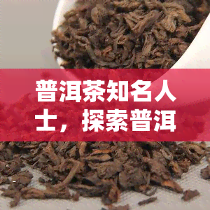 普洱茶知名人士，探索普洱茶的魅力：知名人士的视角与见解