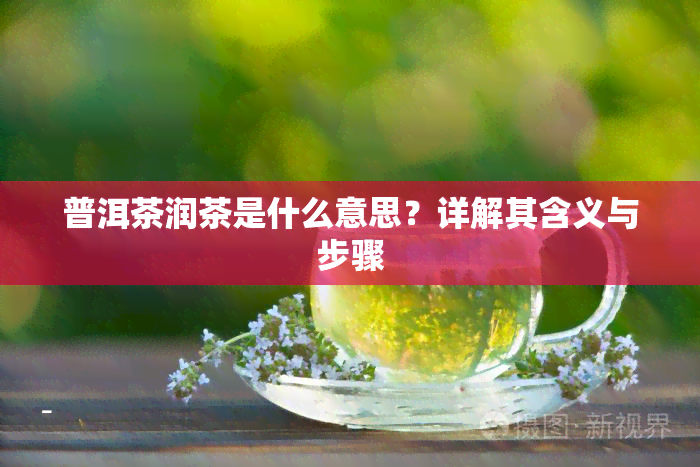 普洱茶润茶是什么意思？详解其含义与步骤