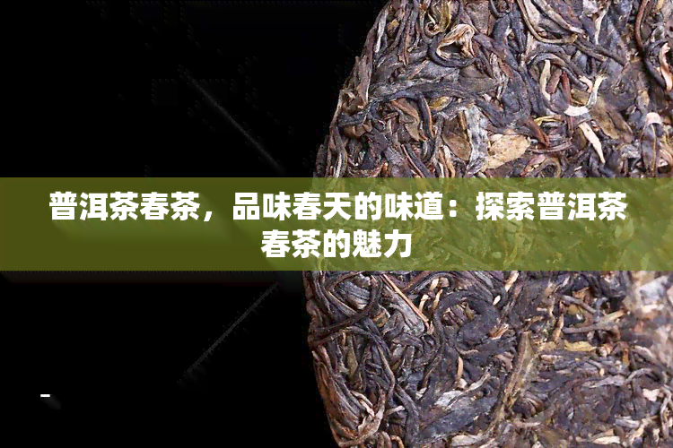 普洱茶春茶，品味春天的味道：探索普洱茶春茶的魅力