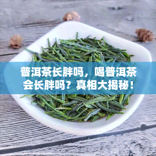 普洱茶长胖吗，喝普洱茶会长胖吗？真相大揭秘！