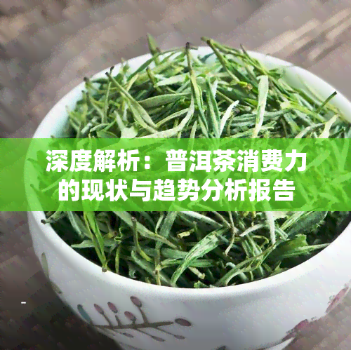 深度解析：普洱茶消费力的现状与趋势分析报告