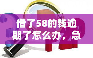 借了58的钱逾期了怎么办，急需解决！借了58元出现逾期，应该如何处理？