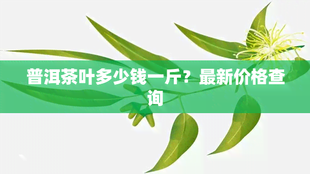 普洱茶叶多少钱一斤？最新价格查询