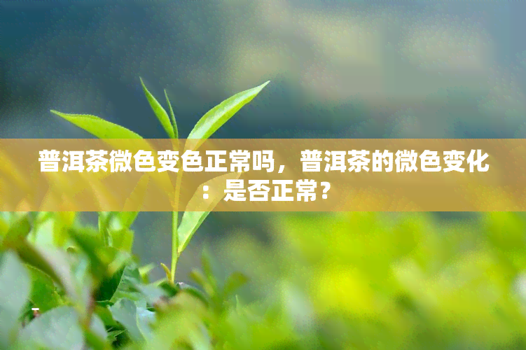 普洱茶微色变色正常吗，普洱茶的微色变化：是否正常？