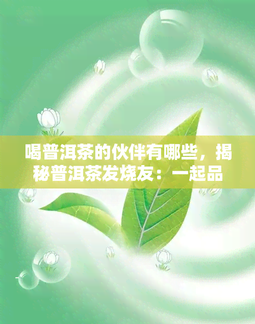 喝普洱茶的伙伴有哪些，揭秘普洱茶发烧友：一起品尝醇香好茶的伙伴有哪些？