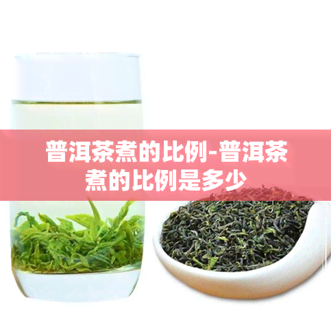 普洱茶煮的比例-普洱茶煮的比例是多少