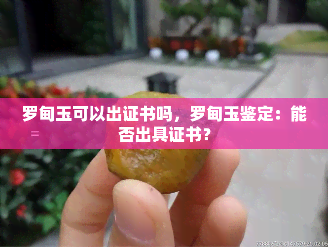 罗甸玉可以出证书吗，罗甸玉鉴定：能否出具证书？