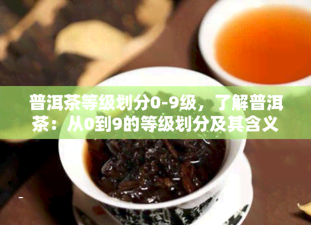 普洱茶等级划分0-9级，了解普洱茶：从0到9的等级划分及其含义