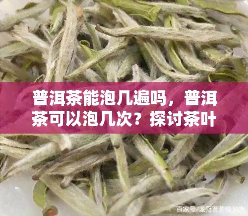 普洱茶能泡几遍吗，普洱茶可以泡几次？探讨茶叶冲泡次数的奥秘