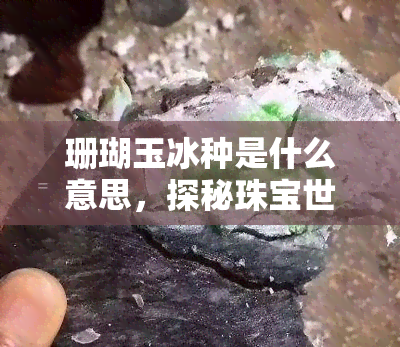 珊瑚玉冰种是什么意思，探秘珠宝世界：详解珊瑚玉冰种的含义与特点