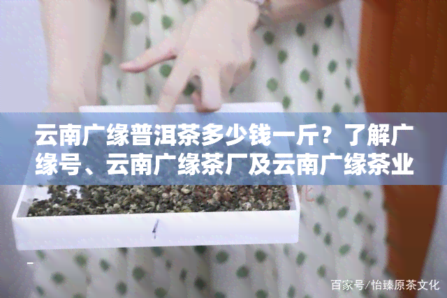 云南广缘普洱茶多少钱一斤？了解广缘号、云南广缘茶厂及云南广缘茶业的产品信息