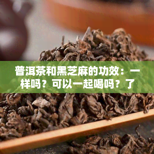 普洱茶和黑芝麻的功效：一样吗？可以一起喝吗？了解它们的共同作用与区别