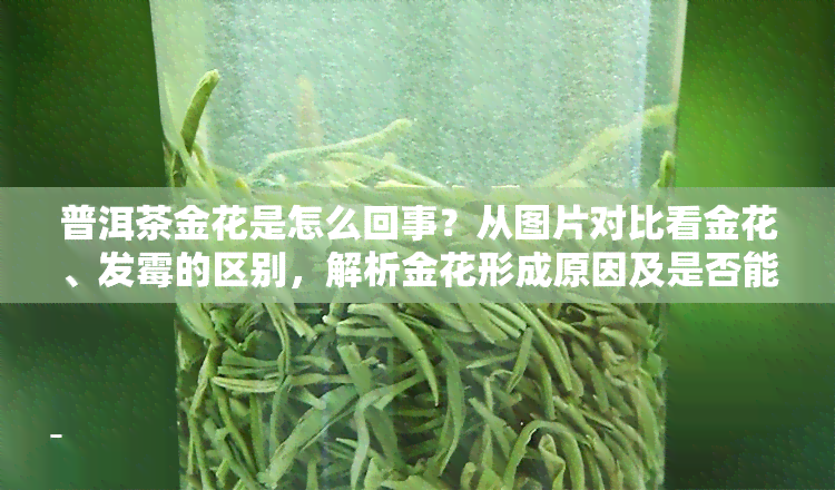 普洱茶金花是怎么回事？从图片对比看金花、发霉的区别，解析金花形成原因及是否能喝，探讨金花与好茶的关系