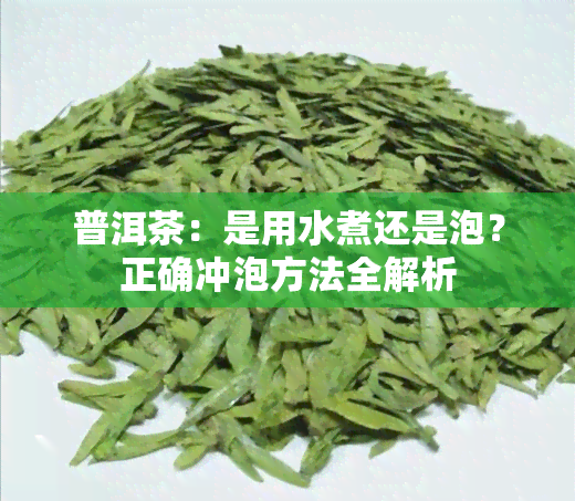 普洱茶：是用水煮还是泡？正确冲泡方法全解析