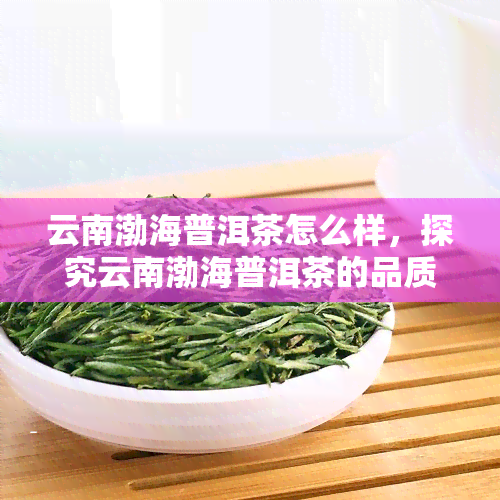 云南渤海普洱茶怎么样，探究云南渤海普洱茶的品质与口感