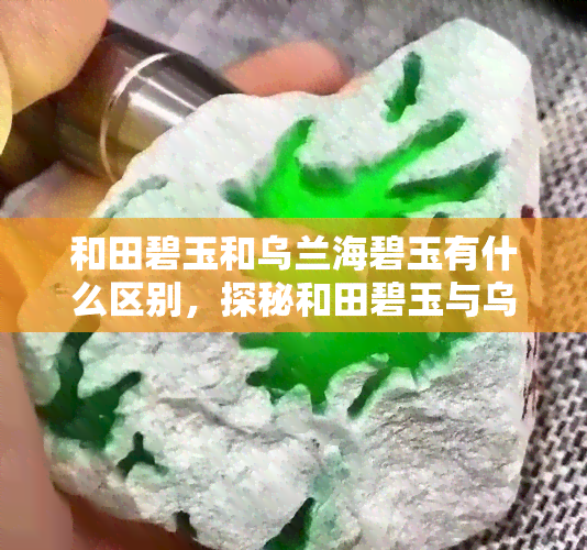 和田碧玉和乌兰海碧玉有什么区别，探秘和田碧玉与乌兰海碧玉的差异