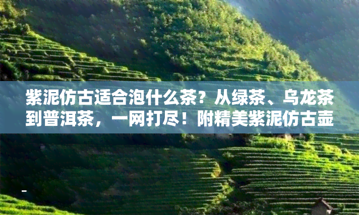 紫泥仿古适合泡什么茶？从绿茶、乌龙茶到普洱茶，一网打尽！附精美紫泥仿古壶图片。