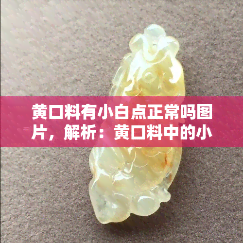 黄口料有小白点正常吗图片，解析：黄口料中的小白点是否正常？看图了解！