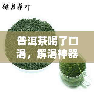 普洱茶喝了口渴，解渴神器：普洱茶的魅力与功效