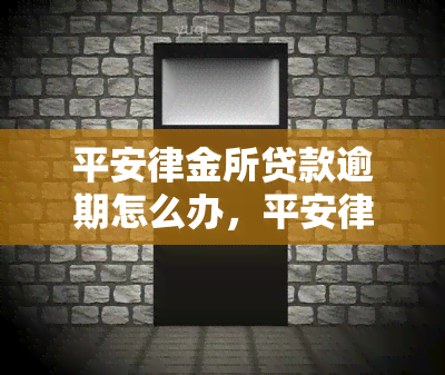 平安律金所贷款逾期怎么办，平安律金所贷款逾期处理攻略