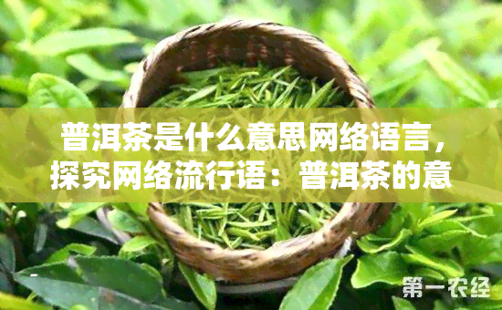 普洱茶是什么意思网络语言，探究网络流行语：普洱茶的意思是什么？