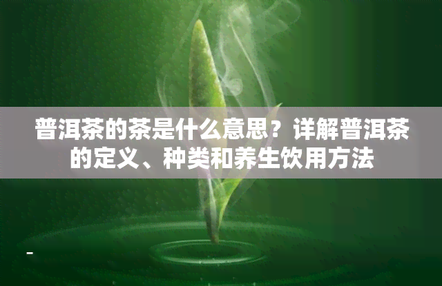 普洱茶的茶是什么意思？详解普洱茶的定义、种类和养生饮用方法