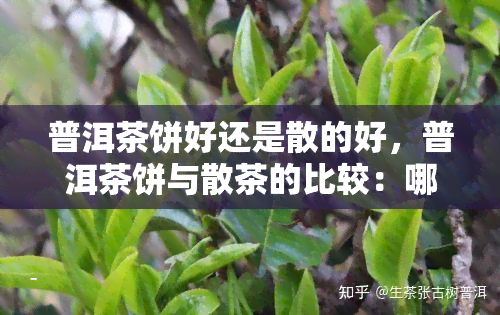 普洱茶饼好还是散的好，普洱茶饼与散茶的比较：哪种更好？