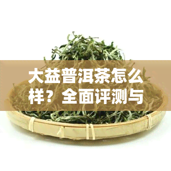 大益普洱茶怎么样？全面评测与价格行情解析