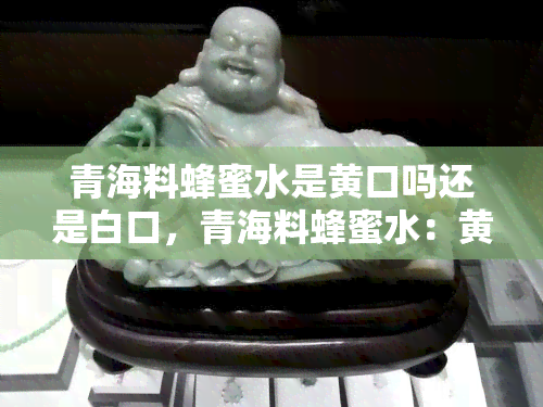 青海料蜂蜜水是黄口吗还是白口，青海料蜂蜜水：黄口还是白口？一次全面解析