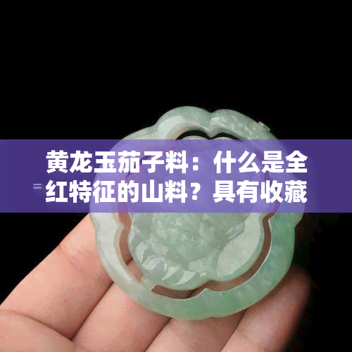 黄龙玉茄子料：什么是全红特征的山料？具有收藏价值吗？