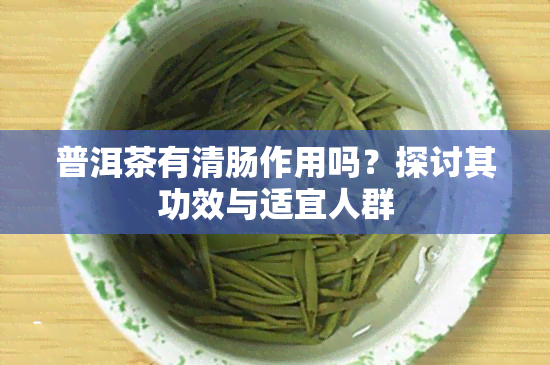 普洱茶有清肠作用吗？探讨其功效与适宜人群