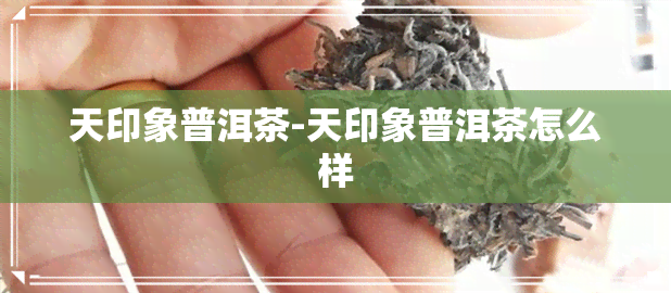 天印象普洱茶-天印象普洱茶怎么样