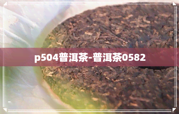 p504普洱茶-普洱茶0582