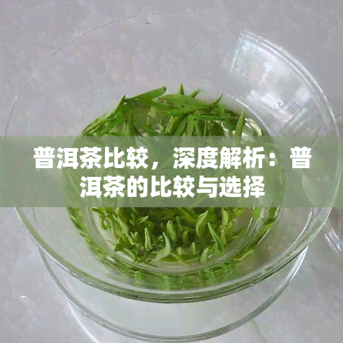 普洱茶比较，深度解析：普洱茶的比较与选择